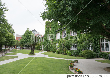 Rikkyo University Morriskan 22828163