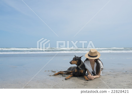 狗和放鬆的女人 22828421