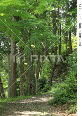Walking path of Matsudaira Township 22828535