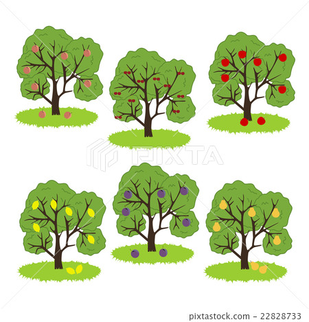 插图素材: fruit tree icon 查看全部