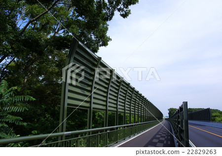 2016年開放的上尾路上的17號國道公路g 22829263