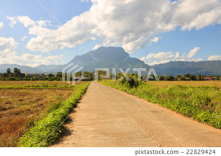 Landscape 22829424