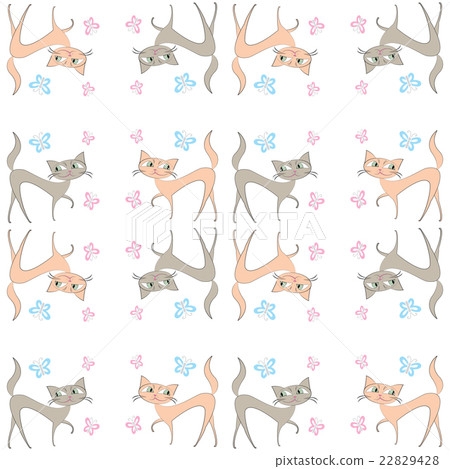 two different colored cats go in different d two different colored cats go in different d 22829428