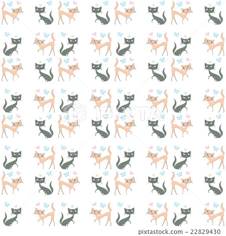 two different colored cats go in different d two different colored cats go in different d 22829430
