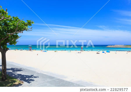 熱帶海灘沖繩 22829577