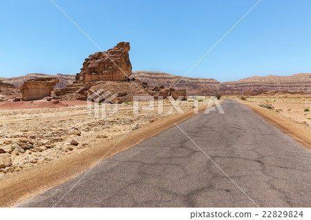road in the desert road in the desert 22829824