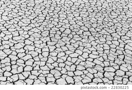 cracks in the land of black and white 22830225