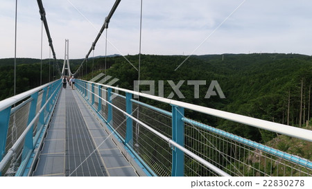 Mishima Sky Walk 22830278