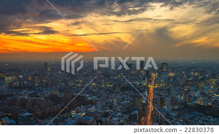 Tokyo sunset aerial panoramic view 22830378