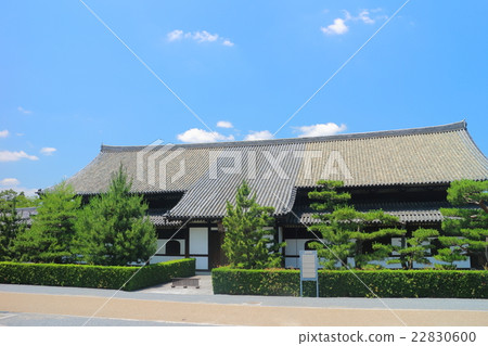 東福寺（Zendo） 22830600