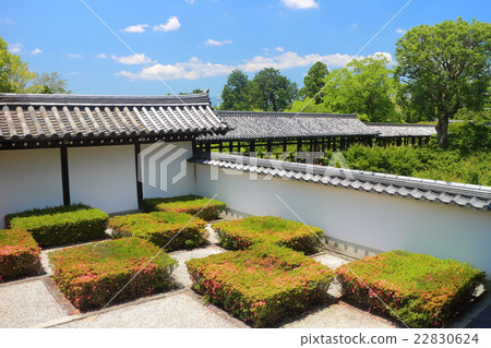 Tofukuji Honbou Garden (Hakuto West Bridge) Tofukuji Honbou Garden (Hakuto West Bridge) 22830624