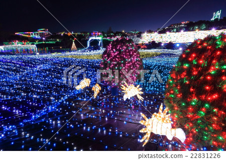 Izu Gourembouru Park Illuminations 22831226