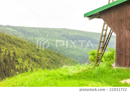 Ladder Next to the Cottage Ladder Next to the Cottage 22831722