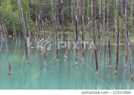 Blue pond 22831906