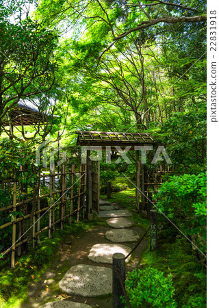 Kyoto Tensakuin Seinen South Garden Kyoto Tensakuin Seinen South Garden 22831918