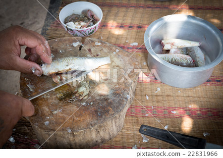 Freshwater fishes susceptible host of opisthorchis 22831966