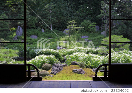 Both legs half-summer students 22834092