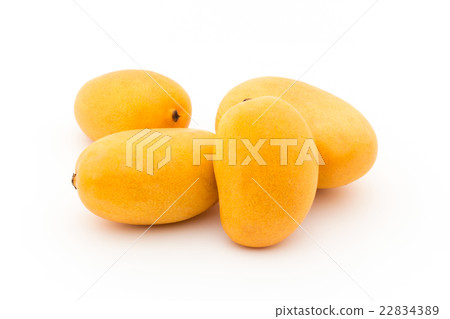 Mini Mango from Mexico (variety: unknown): Mini mango 22834389