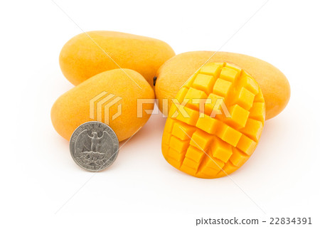 Mini Mango from Mexico (variety: unknown): Mini mango 22834391