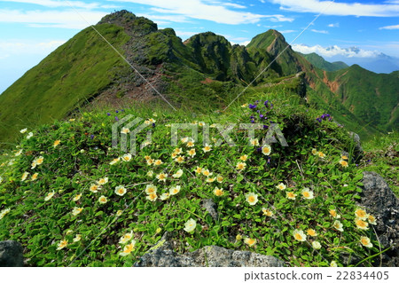 Alpine plant community of Yatsugatake · Yokodake and ridgeline to Akatake 22834405