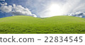 Green meadow in mountain. Composition of nature. 22834545