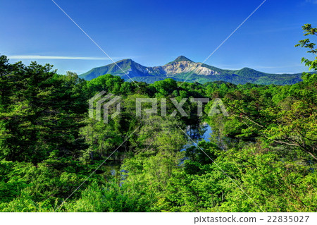 從Nakaseuma返回Bandai 從Nakaseuma返回Bandai 22835027