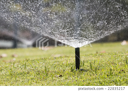 sprinkler head watering in park. sprinkler head watering in park. 22835217