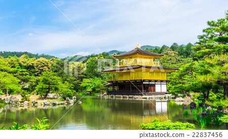 Kinkakuji of Kyoto fresh green 22837456