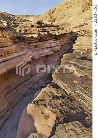 Red canyon in mountains of Eilat 22837553
