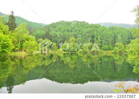 Oimike初夏風景 22837887