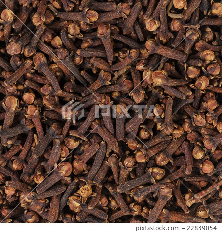 heap of dried cloves heap of dried cloves 22839054