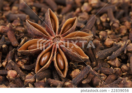 heap of dried cloves and anise star 22839056