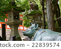 Ishigami Shrine stroked cattle 22839574