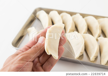 Raw dumplings white back 22839714