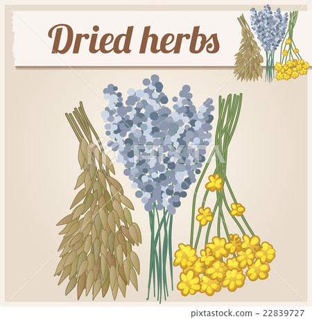 Dried Herbs 2. Detailed Vector Icon 22839727