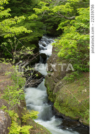 Ryuzo Noboraki Takigami 22839786