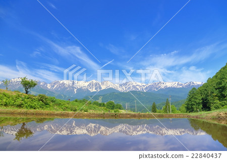 Shinshu Nagano Mountains in the North Alps reflected in the paddy field 22840437