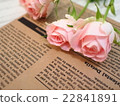 Rose background 22841891