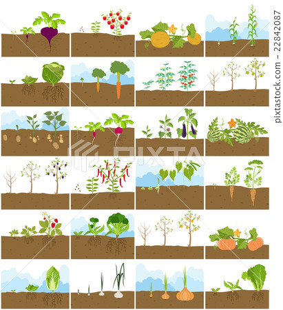 Fruits and vegetables. Nutrition. Icon set 22842087