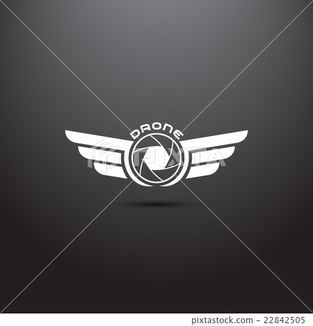 Quadrocopter business icon 22842505