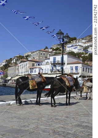 九頭蛇島3 22842742