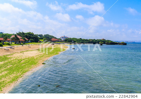 Okinawa Wistaria beach 22842904