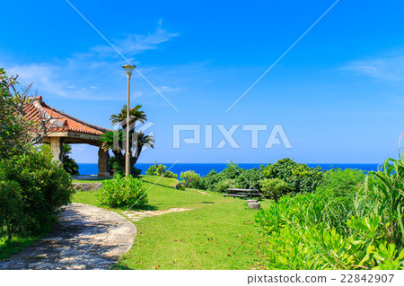 Okinawa Wistaria beach Okinawa Wistaria beach 22842907