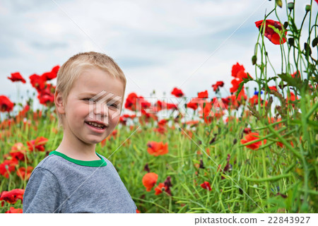 Happy little boy in field with red poppies 22843927