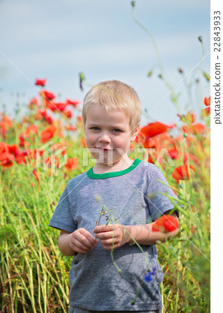 Smiling cute boy in field with red poppies 22843933