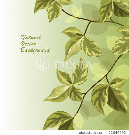 Nature background with green leaves . - Stock Illustration [22844292 ...