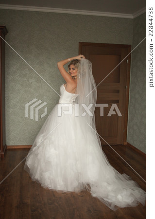 Portrait of beautiful bride with fashion veil at Portrait of beautiful bride with fashion veil at 22844738
