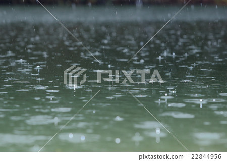 雨 22844956