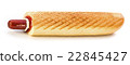 Hot Dog 22845427