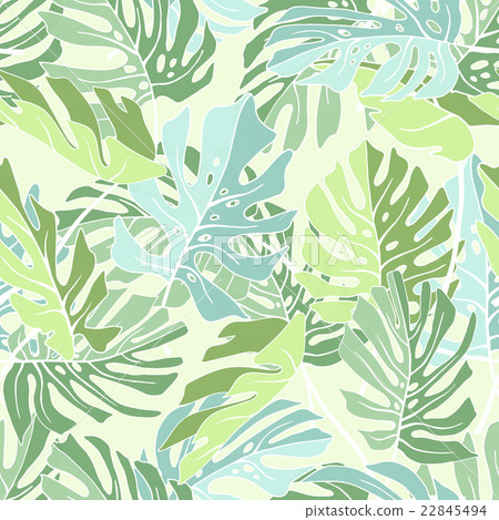 Tropical palm leaves. 22845494